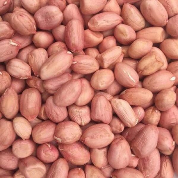 Pealed 2 Gadwal Premium Peeled Peanuts