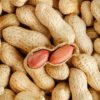 Gadwal Premium Unpeeled Peanuts
