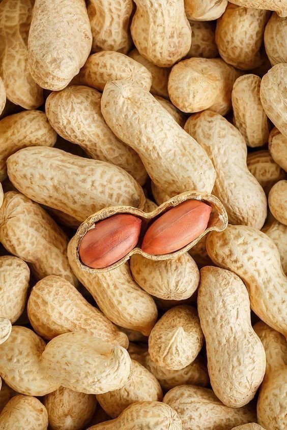 Gadwal Premium Unpeeled Peanuts